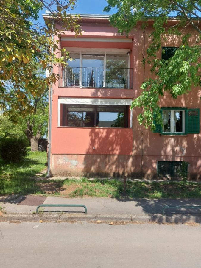 Anago Apartments Zadar Dış mekan fotoğraf