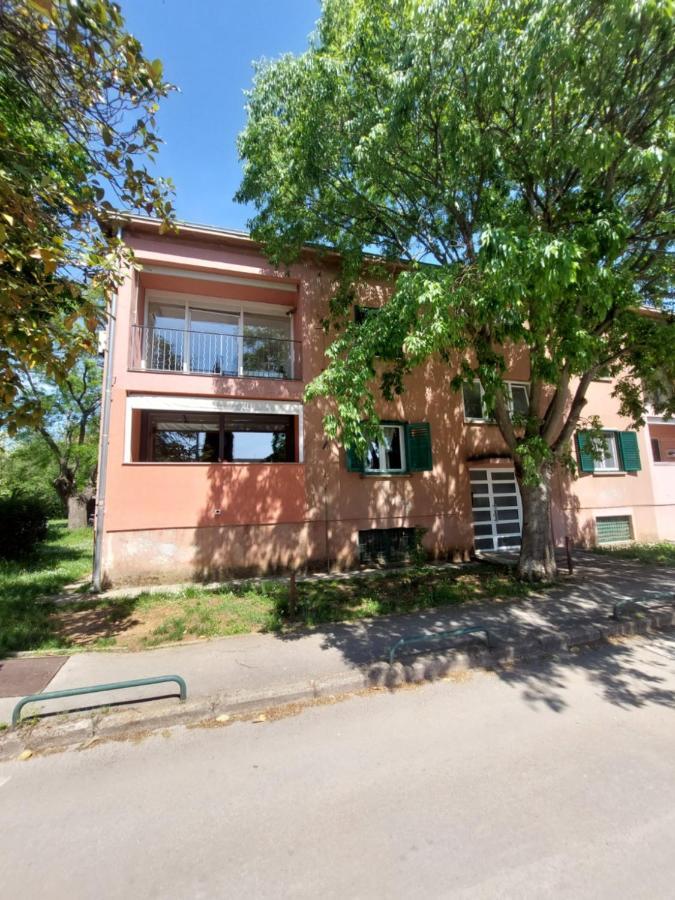 Anago Apartments Zadar Dış mekan fotoğraf